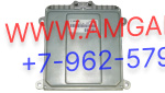 Блок управления ТНВД (ЭБУ) BOSCH 0281020090